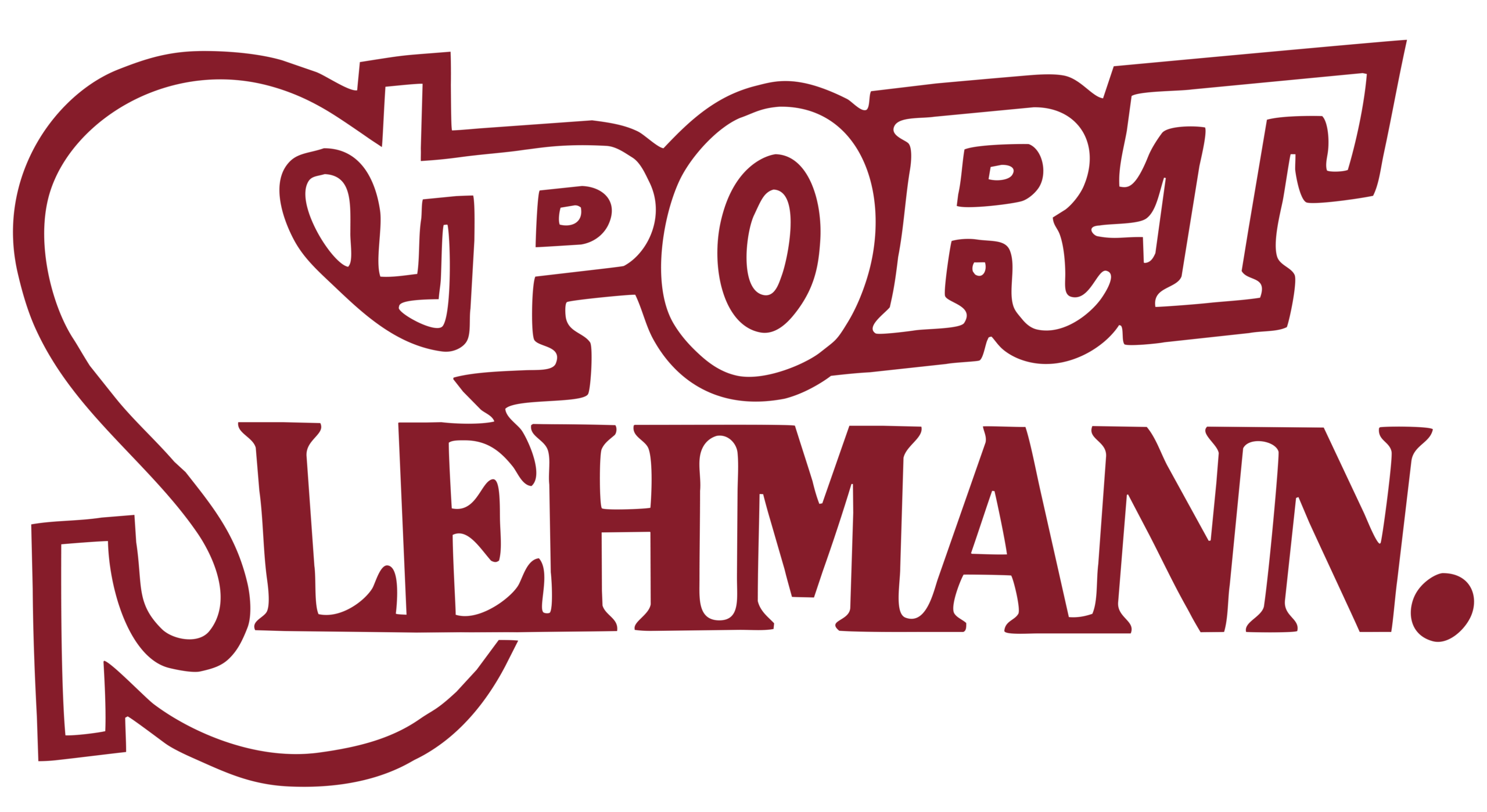 Sport Lehmann – Partner
